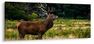 Slika jelena (120x50 cm)
