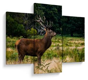 Slika jelena (90x60 cm)