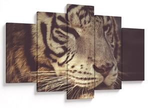 Slika tigra (150x105 cm)