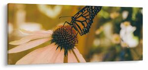 Slika leptira na cvijetu (120x50 cm)