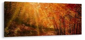 Slika jesenske šume (120x50 cm)