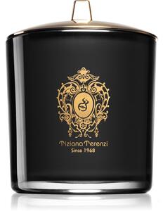 Tiziana Terenzi Almond Vanilla mirisna svijeća s drvenim fitiljem 900 g