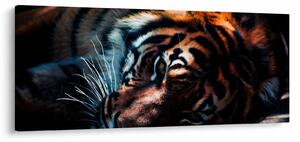 Slika ležećeg tigra (120x50 cm)