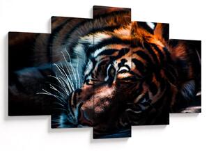 Slika ležećeg tigra (150x105 cm)
