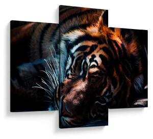 Slika ležećeg tigra (90x60 cm)