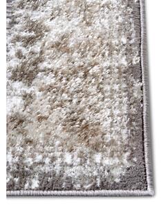 Bež/u srebrnoj boji tepih 120x170 cm Shine Classic – Hanse Home