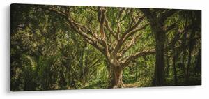 Slika stabla (120x50 cm)