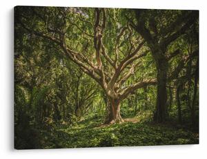 Slika stabla (70x50 cm)