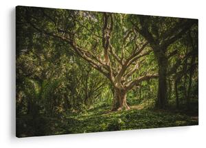 Slika stabla (90x60 cm)