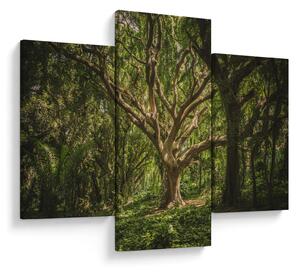 Slika stabla (90x60 cm)