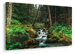 Slika potoka u šumi (90x60 cm)