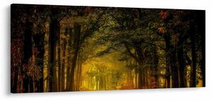 Slika šume (120x50 cm)