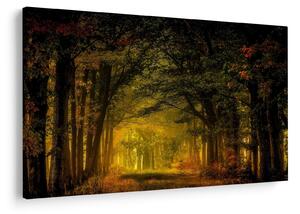 Slika šume (90x60 cm)