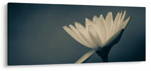 Slika cvijeta (120x50 cm)