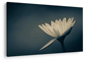 Slika cvijeta (90x60 cm)