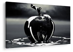 Slika crne jabuke (90x60 cm)