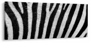 Slika kože zebre (120x50 cm)