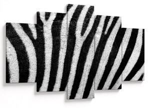 Slika kože zebre (150x105 cm)