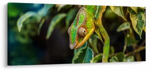 Slika kameleona (120x50 cm)