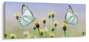 Slika leptira na cvijetu (120x50 cm)