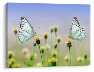 Slika leptira na cvijetu (70x50 cm)
