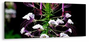 Slika cvijeta (120x50 cm)