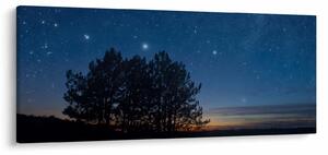 Slika drveća noću (120x50 cm)