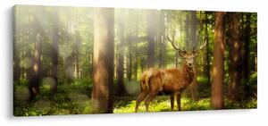 Slika jelena u šumi (120x50 cm)