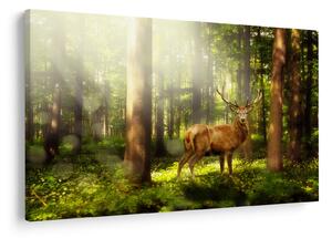 Slika jelena u šumi (90x60 cm)