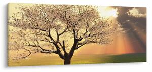 Slika stabla na livadi (120x50 cm)