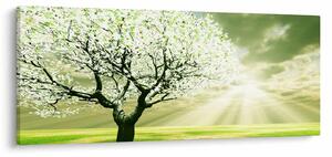 Slika stabla na livadi (120x50 cm)