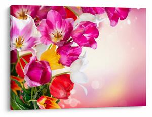 Slika tulipana (70x50 cm)