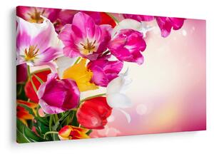 Slika tulipana (90x60 cm)