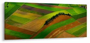 Slika - Polja, livade (120x50 cm)