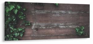 Slika - Bršljan (120x50 cm)