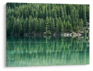 Slika - Četinari uz jezero (70x50 cm)