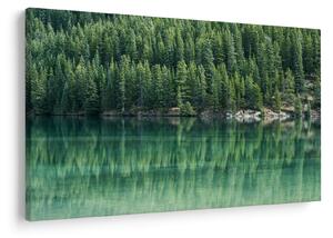 Slika - Četinari uz jezero (90x60 cm)