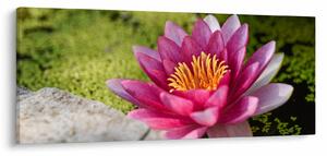 Slika - Lopoč (120x50 cm)