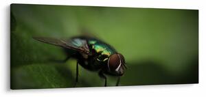 Slika - Muha (120x50 cm)