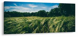 Slika livade i šume (120x50 cm)