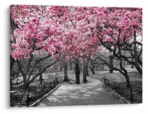 Slika drveća magnolije (70x50 cm)