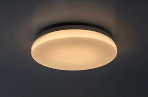 Lowar VANJSKA STROPNA SVJETILJKA LED 12W/BIJELA/IP44/750lm RA77133
