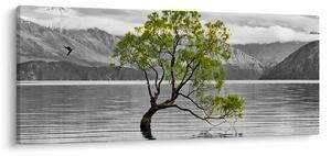 Slika stabla usred jezera (120x50 cm)