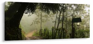 Slika jutarnje magle (120x50 cm)