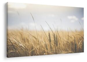 Slika žita (90x60 cm)