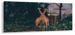 Slika dviju žirafa (120x50 cm)