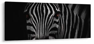 Slika zebre (120x50 cm)