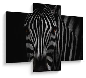 Slika zebre (90x60 cm)