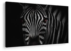Slika zebre (90x60 cm)