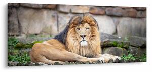 Slika lava (120x50 cm)